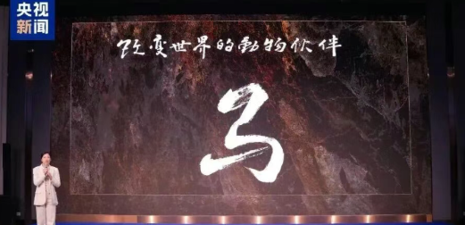 最新！中央广播电视总台又有大动作，一批2026年重点节目来袭