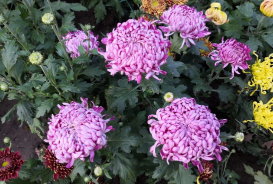 央视《新闻30分》栏目简介